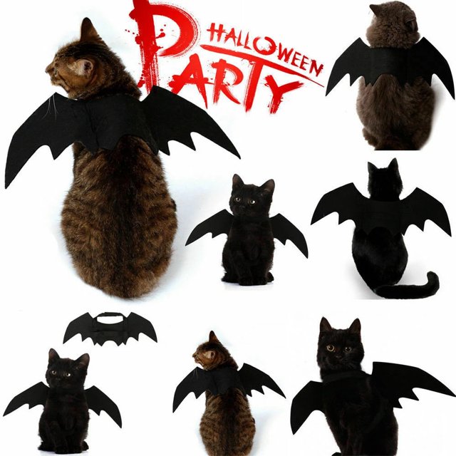 Alas De Murciélago Para Perros Y Mascotas Cosplay Prop Halloween Disfraces Foto Props Headwear Accesorios Para