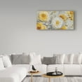 thumbnail image 3 of Trademark Fine Art 'Sunshine Roses Grey' Canvas Art by Lisa Audit, 3 of 3