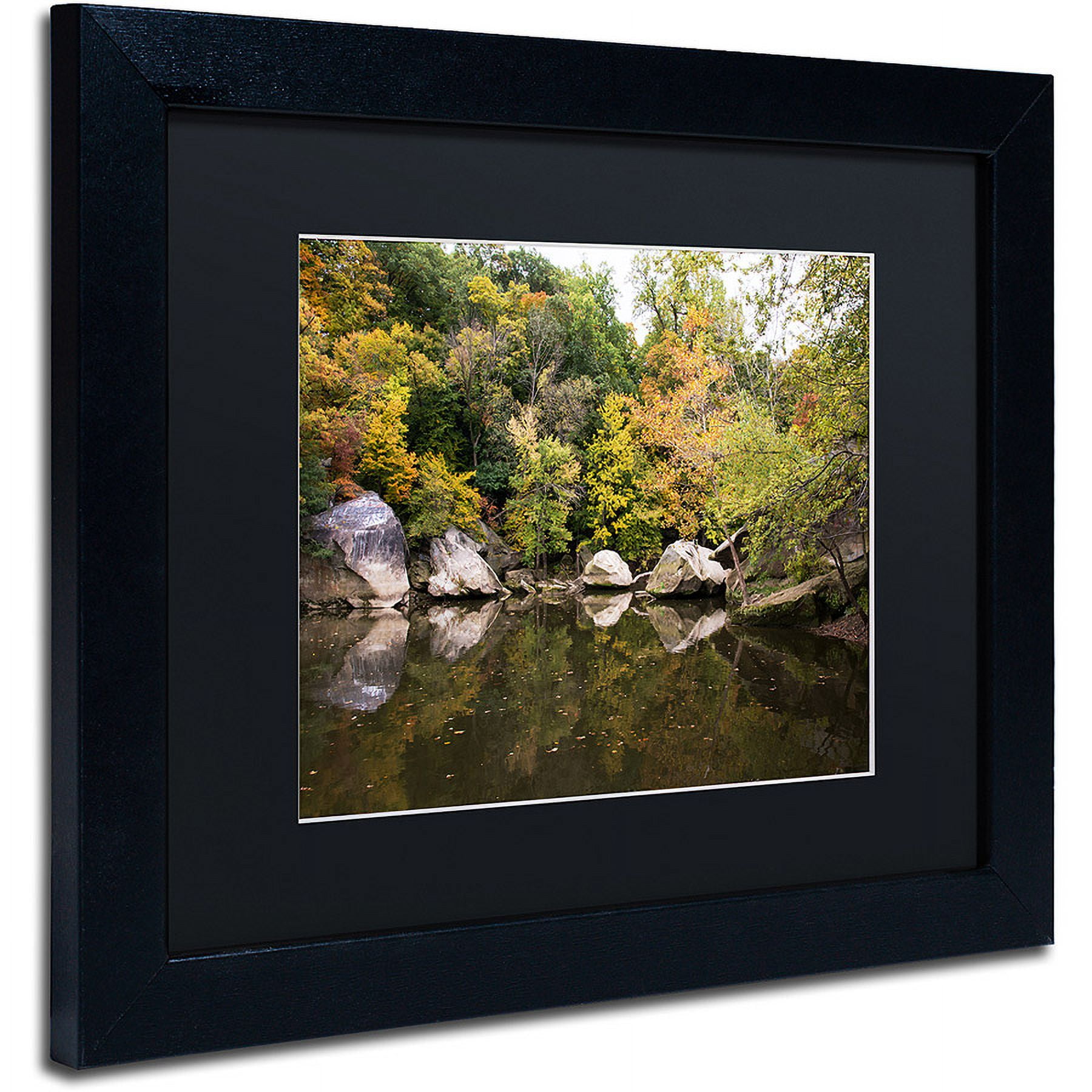 Trademark Fine Art "Graffiti Fall" Canvas Art by Kurt Shaffer, Black Matte, Black Frame