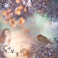 thumbnail image 2 of Teuni 12x12 White Modern Wood Framed Museum Art Print Titled - Hydrangea fantasy, 2 of 4