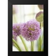 thumbnail image 2 of Millet, Karyn 11x14 Black Modern Framed Museum Art Print Titled - Blossoms I, 2 of 5