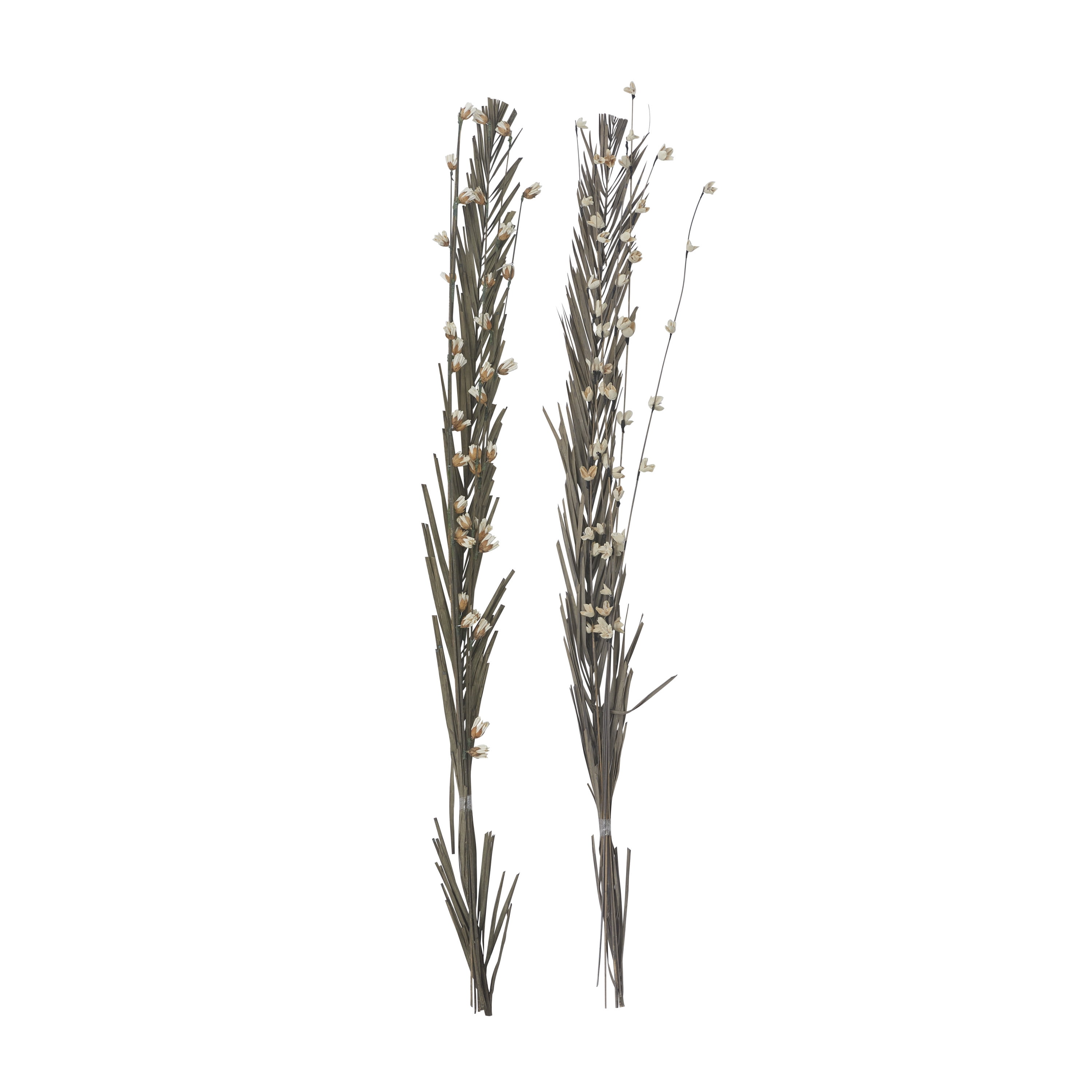58" Dried Plant Natural Foliage Pigeon pea Bouquet, by DecMode (2 Count)