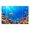 Color 1, variant on 1000 Pieces Jigsaw Puzzles for Adults Tropical Jungle Palm Leaf Wooden Puzzles Tropical Jungle Palm Leaf Fun Family Challenging Game Party for Seniors Teens Christmas Gift Home Decor