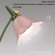 thumbnail image 4 of Lámpara LED de Mesa con Diseño de Flor Rosa, Ajustable, Táctil, Recargable, Luz para Dormitorio, Lectura y Mesa., 4 of 5