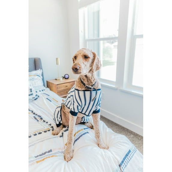 LazyOne Flapjacks, One-Piece Dog Sweater, Matching Family Pajamas for Dogs, Stripes, Ticking Bear (Large)