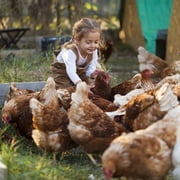 Verm-X Liquid for all Poultry, 500 ml