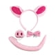 thumbnail image 1 of CHAO 4 diademas de cerdo rosa para mujer, elegantes y modernas, con forma de aro para el pelo, para vestirse, un conjunto, 1 of 5