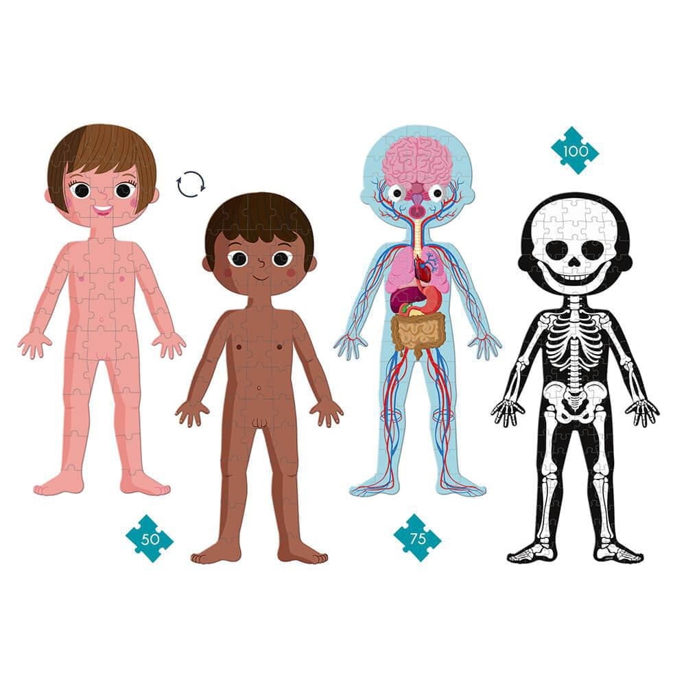 4 IN 1 EDUCATIONAL PUZZLE - HUMAN BODY