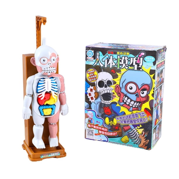 Modelo De Esqueleto Japonés, Maniquí De Juguete, Esqueleto, Parodia De Escritorio Para Padres E Hijos, Utilería, Juguete De Terror Para Niños Sweethay FN006229-00