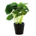 thumbnail image 1 of Flores artificiales, plantas verdes artificiales, plantas en macetas, pequeños adornos creativos, bonsáis artificiales, plantas de plástico, decoración de interiores, 1 of 5