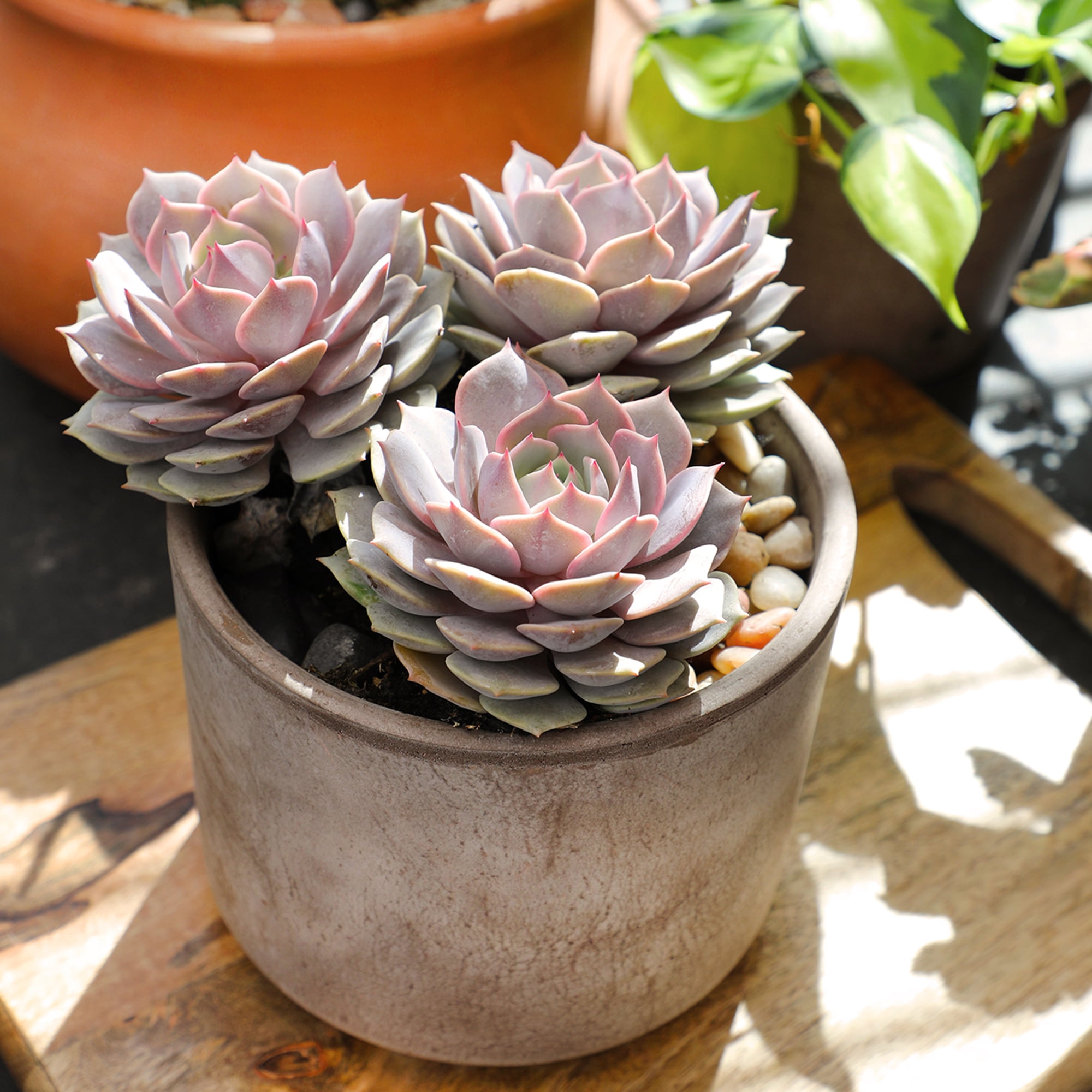 a8f8cdd7-c11c-4b21-97ff-