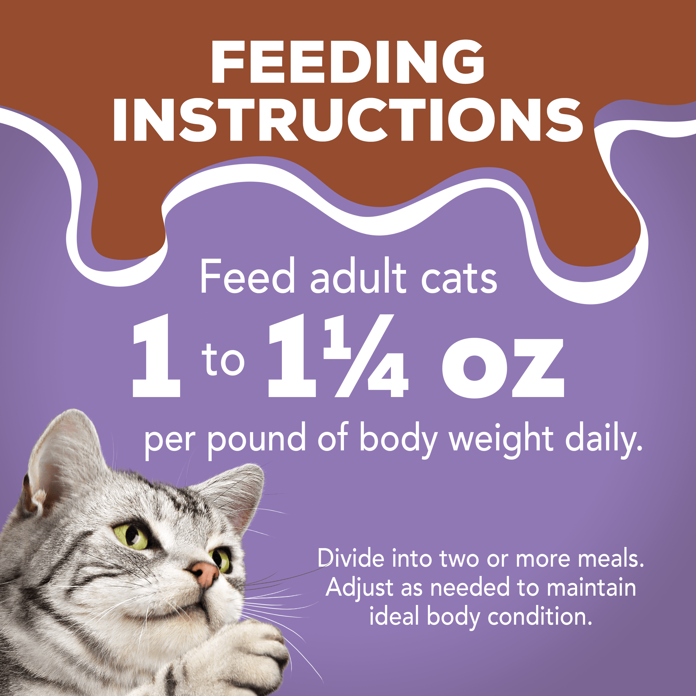 friskies extra gravy