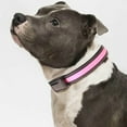 thumbnail image 4 of Tvtnvo Led Dog Collar Light Leash Usb Rechargeable Solar Powered Safety Visibility Multiple Lighting Modes Adjustable Long Lasting Waterproof Design for Night Walks and Training Pink 15.7-19.7in, 4 of 5