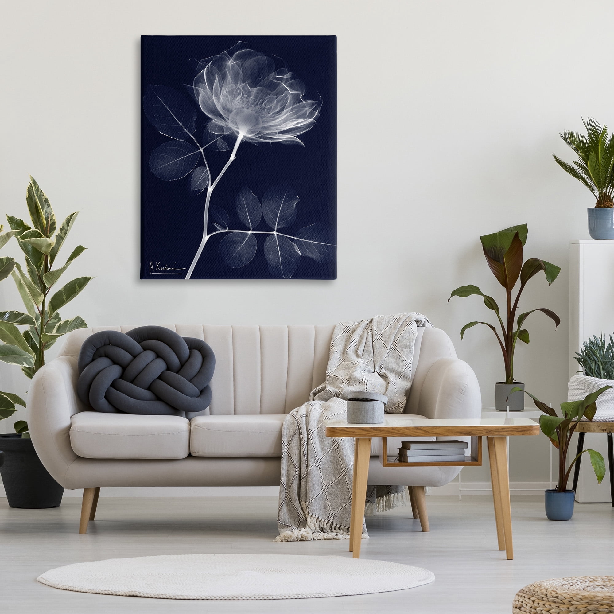 Stupell Industries Dynamic Dark Flower Botanical & Floral Photography Gallery Wrapped Canvas Art Print Wall Art, 36 x 48