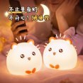 thumbnail image 2 of Luces De Noche De Silicona Lámpara De Mesa Linda Lámpara De Noche Portátil Lámpara De Noche Brillante Luz De Noche Con Control Remoto Para Niños De Cabecera De Interior Cateissary HA024042-00, 2 of 7