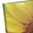 thumbnail image 5 of Creative Products Sunshine Is The Best Medicine 16x16 Canvas Wall Art, 5 of 5