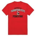 thumbnail image 1 of W Republic Apparel 517-159-R58-04 Youngstown State University Property College Tee Shirt - Rouge, Extra Large, 1 of 2