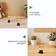 thumbnail image 5 of 12 mini trofeos: copas de trofeo pequeñas de plástico, decoraciones para fiestas infantiles, premios, concursos y recompensas., 5 of 7