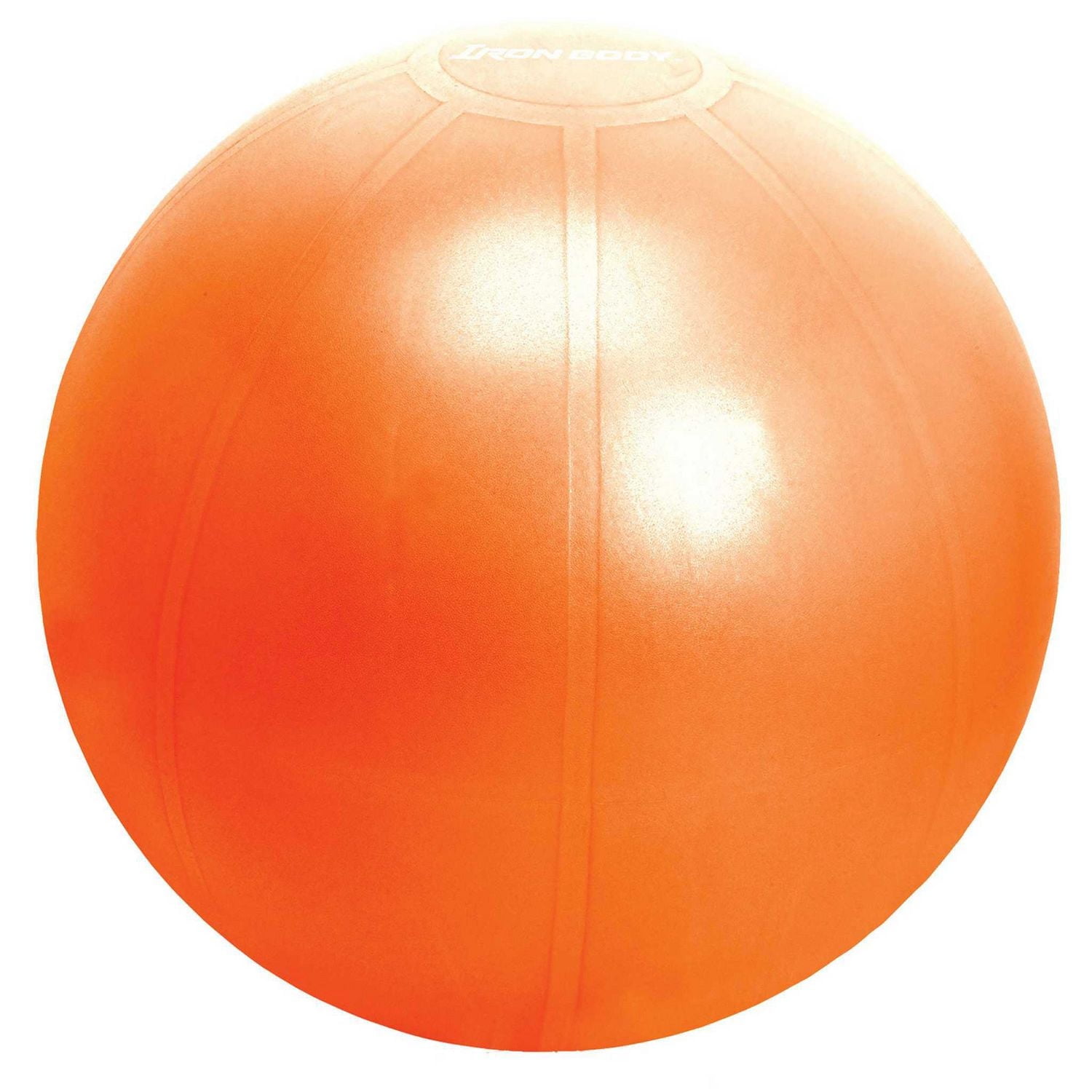 Iron Body Fitness Pro Series Stability Ball with Pump, Anti-Burst Exercise Ball