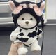 thumbnail image 1 of Osito de peluche hecho a mano, juguete de peluche que cambia de vestido, bolsa de miel, muñeca de peluche de tela para niña, regalo de Navidad para niños, solo tela sin muñeca, tigre negro, solo tel, 1 of 5