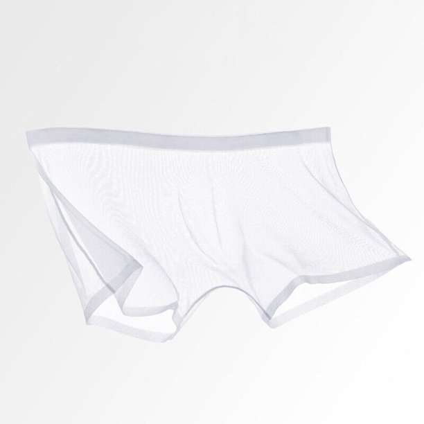 Sexy Mens Briefs See Through Sheer Boxer Mesh Underwear Shorts Trunks