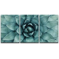 wall26 - 3 Piece Canvas Wall Art - Sharp Pointed Agave Plant Leaves - Modern Home Art Stretched and Framed Ready to Hang - 16"x24"x3 Panels