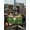 Black, variant on St. Patrick's Day Outdoor Tablecloth - 60x120 Inch Rectangle Dining Table Cover, Cute Kitten Cats Shamrock Leaf Wood Green Waterproof Outdoor Table Cloth with Umbrella Hole & Zipper for Picnic/Patio