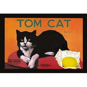Tom Cat Brand Fine art canvas print (20" x 30")