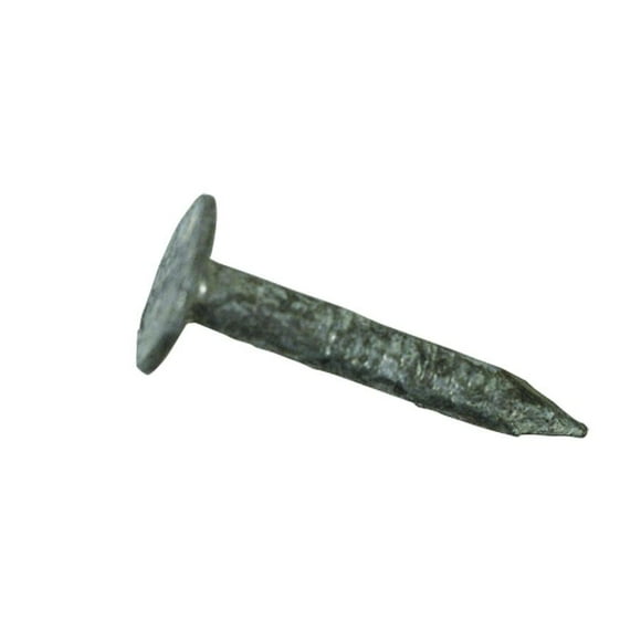 50lbs 2" Hot Galvanized Canadian Large Head Roofing Nails