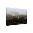 thumbnail image 4 of Jim Cumming 'The Rut In On - White-Tailed Deer' Canvas Art, 4 of 4