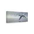 thumbnail image 2 of Trademark Fine Art 'Misty Duck Flight' Canvas Art by Wilhelm Goebel, 2 of 3