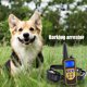 thumbnail image 5 of Collar de entrenamiento para perros Receptor a prueba de agua Control de mascotas Recargable (1pcs AU) Ndcxsfigh  Para estrenar, 5 of 9