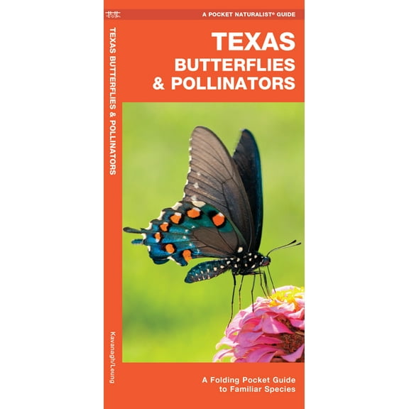 Texas Butterflies & Pollinators : A Folding Pocket Guide to Familiar Species