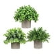 thumbnail image 2 of 3 piezas de pequeñas plantas falsas, plantas artificiales en maceta, plantas decorativas de imitación en maceta para estante de oficina, decoración de Estilo I, 2 of 8
