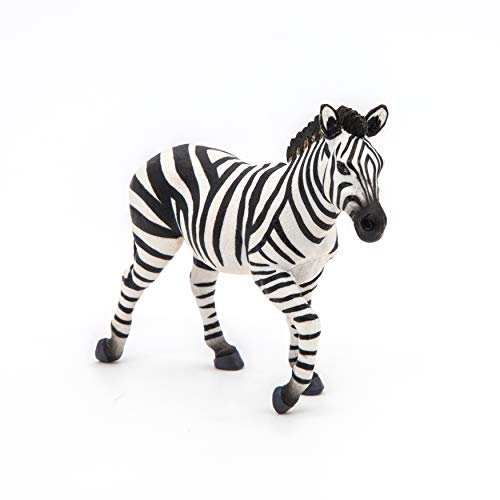 Papo -Pintado a Mano - Figura -Wild Animal Kingdom - Cebra Masculina -50249 -Coleccionable Papo Papo