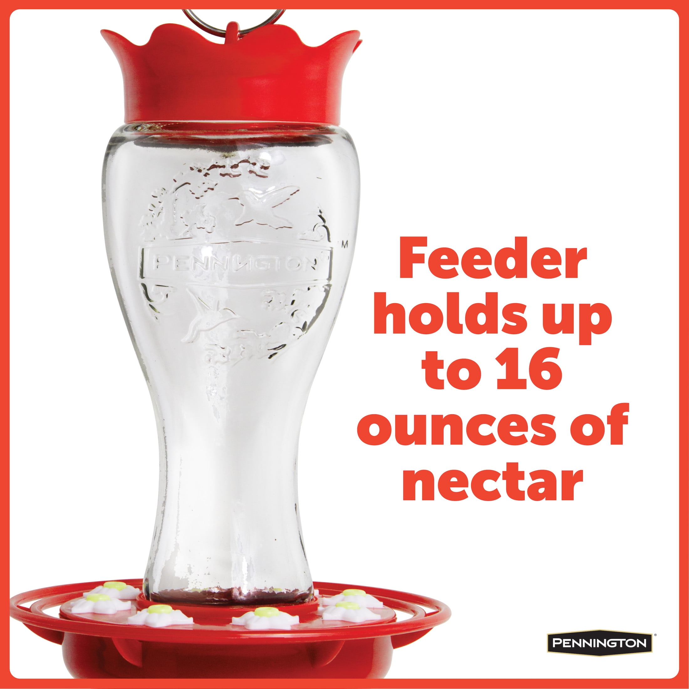 (6 pack) Pennington Glass Red Hummingbird Feeder, 16 oz Nectar Capacity