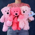 thumbnail image 2 of Set de 6 piezas Osos Mix Flomo color rosa surtidos de peluche, 2 of 5