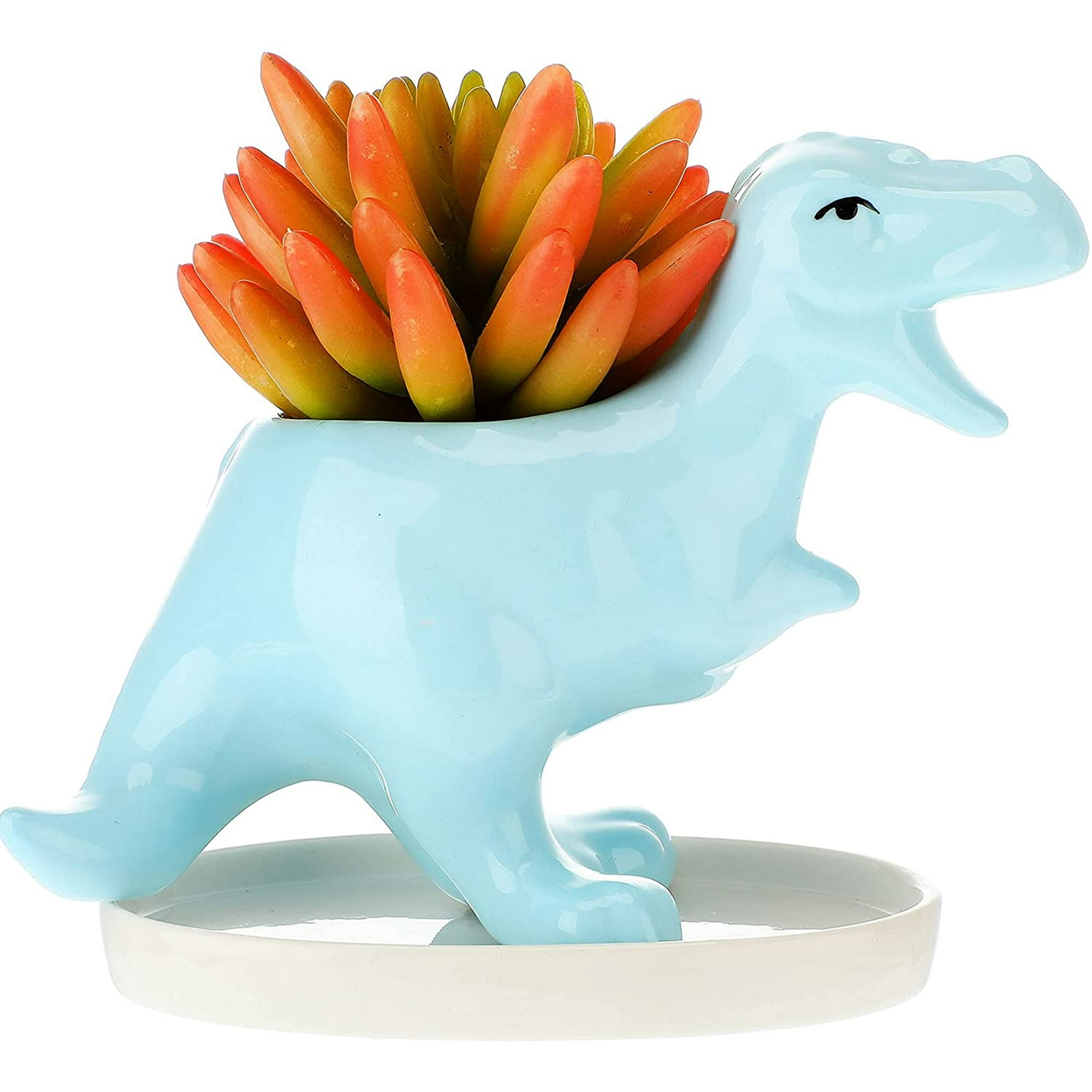 Dinosaur Shaped Flowerpot Fleshy Ceramic Flower Pot Animal Creative Plant Flowerpot with Drain Hole and Tray for Home Garden Office Table Decoration Supplies (Blue) | Walmart Canada Dinosaur Shaped Flowerpot Fleshy Ceramic Flower Pot Animal Creative Plant Flowerpot with Drain Hole and Tray for Home Garden Office Table Decoration Supplies (Blue) | Walmart Canada