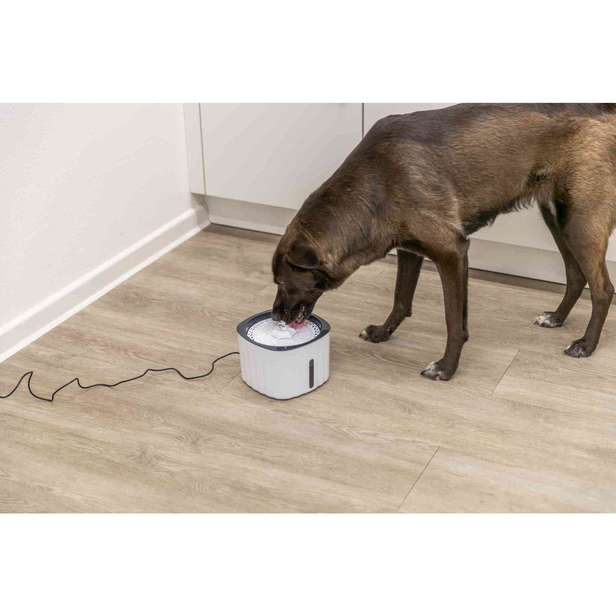 TRIXIE Flower Drinking Fountain for Dogs and Cats, 68oz Automatic Water Dispenser