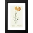 thumbnail image 2 of Margaret Armstrong 11x18 Black Modern Framed Museum Art Print Titled - Western Wallflower (1915), 2 of 5