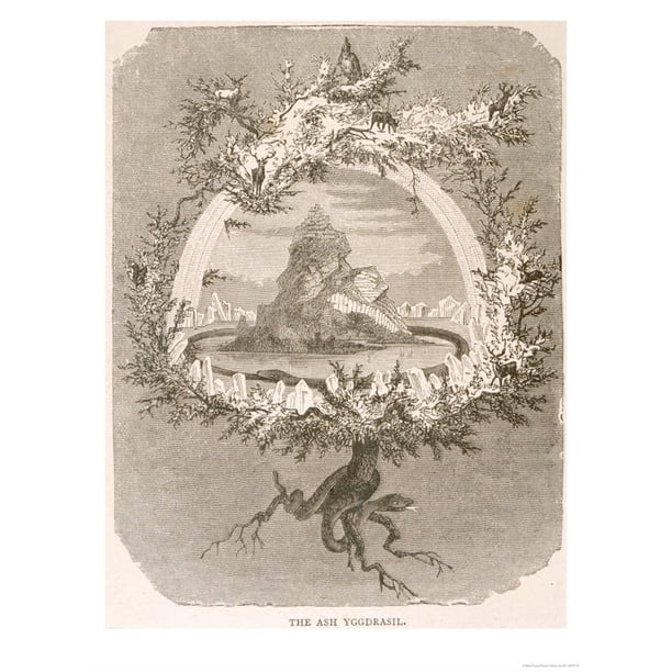 Yggdrasil The Sacred Ash The Tree Of Life The Mundane Tree Of Norse Mythology Print Wall Art Walmart Com Walmart Com