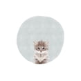 thumbnail image 3 of Straatsma, Leah 12x14 Black Modern Framed Museum Art Print Titled - Baby Circle Kitten, 3 of 5