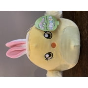 Squishmallows W/ears