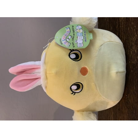 Squishmallows W/ears