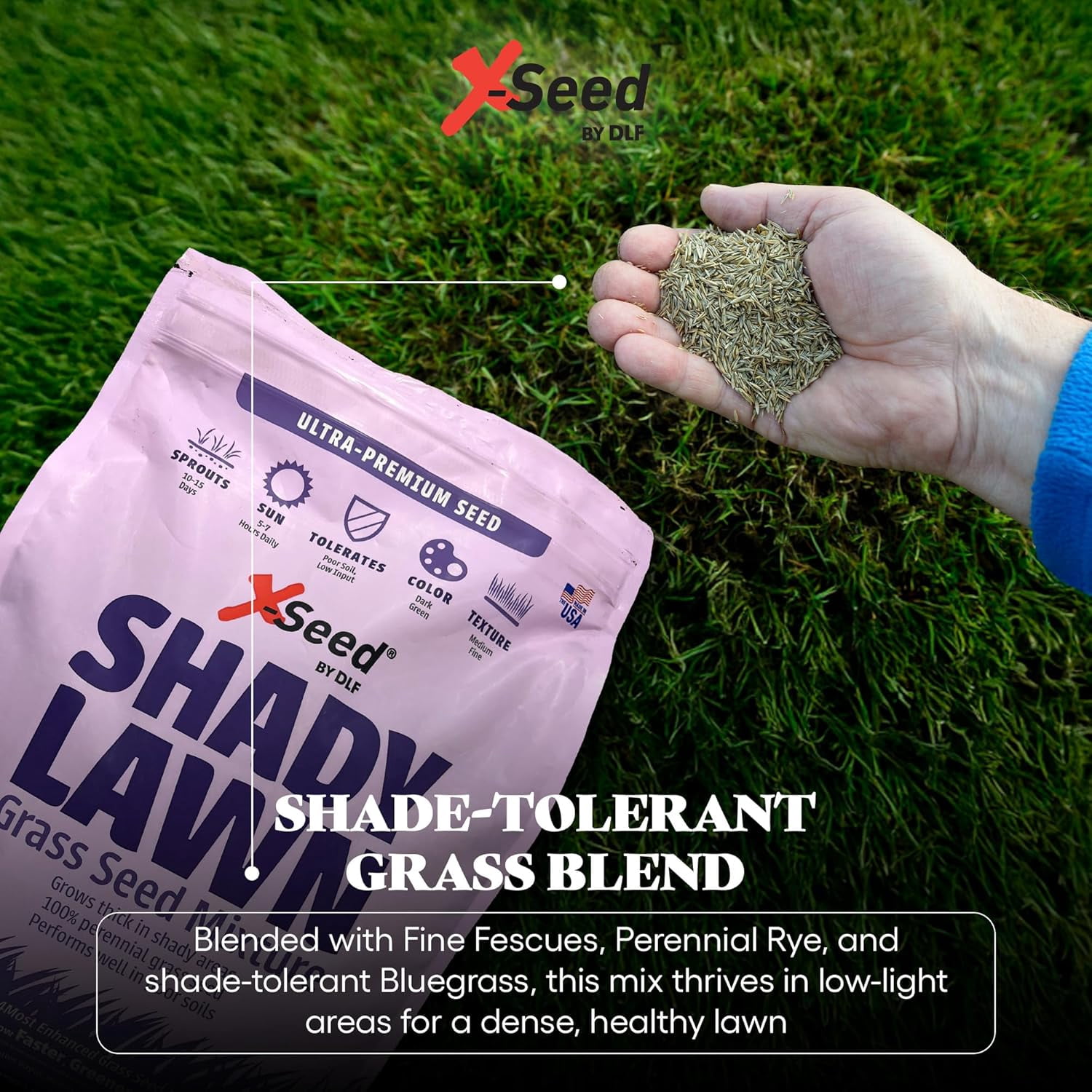 X-Seed Ultra Premium Shady Lawn Grass Seed Blend – Heavy Shade Grass Seed Mixture – Grows Thick in Shady Areas, Performs Well in Poor Soils, Requires Less Fertilizer and Water – 3 lbs.