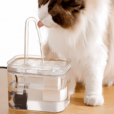 Cat Water Fountain (64oz/1.8L) – Indoor Water Dispenser for Cats and ...