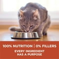 thumbnail image 4 of fuzhong-+Plus Dry Cat Food, High Protein Chicken Formula - 1.8 kg Bag, 4 of 4