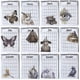 thumbnail image 4 of Witchy Goth 2025 Calendar Gothic Pagan Pages 2025 Monthly Planner A4 Size Gothic Monthly Calendar, 4 of 5