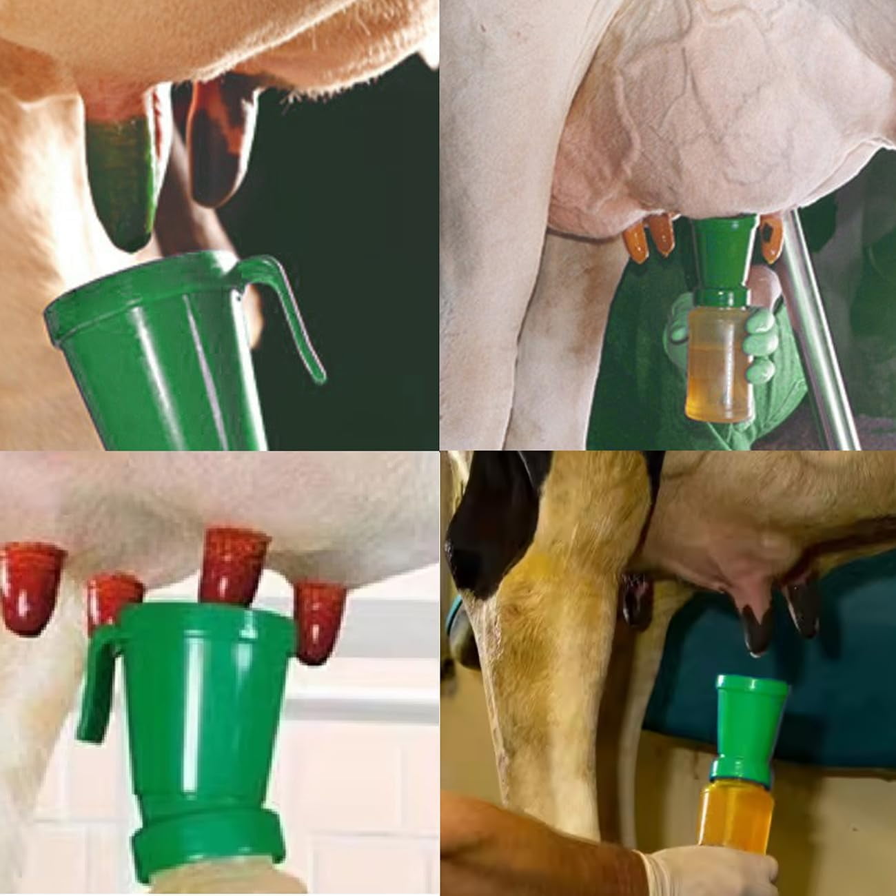 ABCISI 2 Pack Teat Dip Cup, Non Reflow Nipple Cleaning Disinfection, Portable Dip Cup for Cow Sheep Goat, Non-Return Teat Dipper - 10 fl oz (Green)