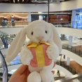 thumbnail image 3 of Jellycat Shy Embrace pequeño regalo Bonnie Rabbit peluche juguete calmante niños muñeca regalo muñeca, 3 of 5